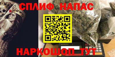 гидра Берёзовский