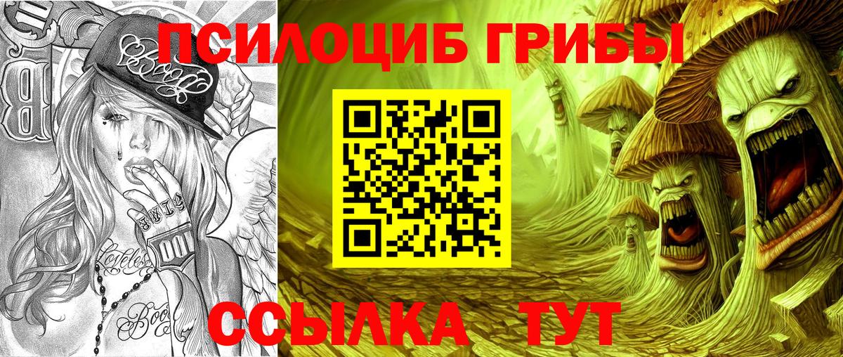 Псилоцибиновые грибы мицелий Владивосток