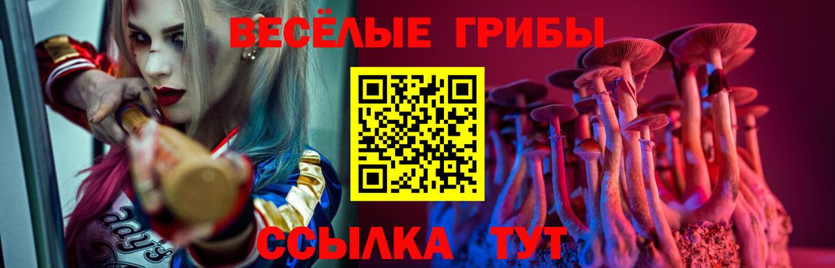 Псилоцибиновые грибы мухоморы  Вход с VPN  Псилоцибиновые грибы мухоморы  купить   Владивосток 